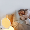 SoothFresh Light Therapy Lamp